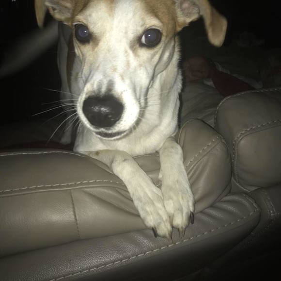 Meet your Posher, Jacob - Picture 1 of 1